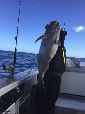 bluenose on a jig